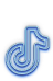 TikTok logo